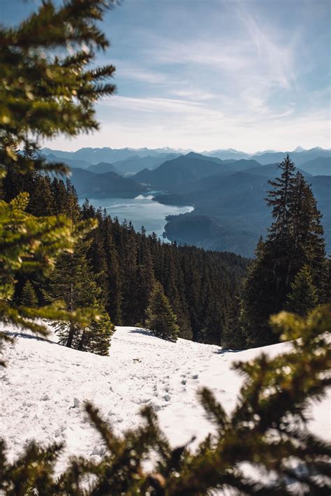 Last snow in Bavaria, Germany [OC] [3869x5803] : r/EarthPorn