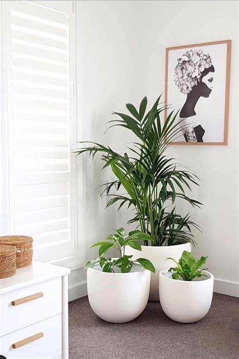 Feng Shui Plants In Living Room New Feng Shui Living Room top 10 Feng Shui Princ... - Modern ...