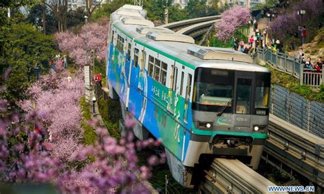 Monorail train runs past blooming flowers at Chongqing metro line 2 - Global Times