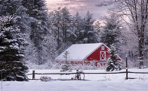 "A Red Barn On A Snowy Winter Morning" by Stocksy Contributor "Rob Sylvan" - Stocksy