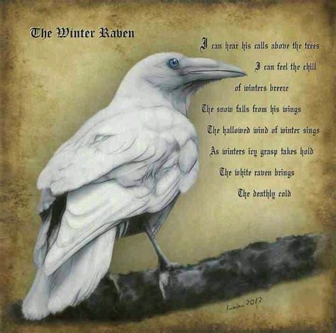 The Winter Raven. Though I am loathe to pin pics that contain spelling and grammatical errors, I ...