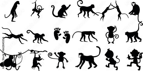 Monkey Vector Illustration - A dynamic, black silhouette collection of ...