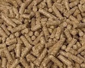 Animal Feed Pellets by Shivaay Overseas. Supplier from India. Product Id 1704558.