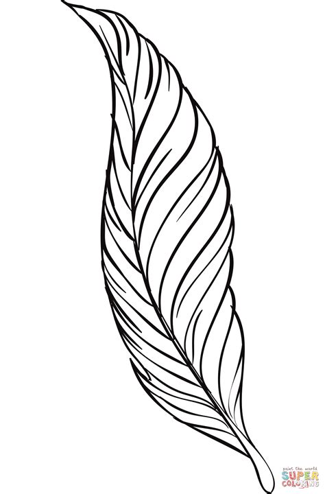 Feather Quill Pen coloring page | Free Printable Coloring Pages