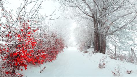 Vermont Winter HD Wallpapers - Top Free Vermont Winter HD Backgrounds ...