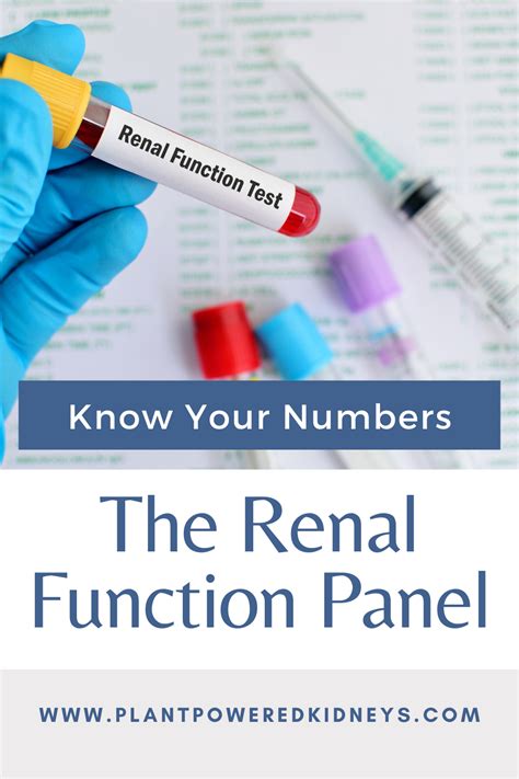 Renal Function Panel: Know Your Numbers | Plant-Powered Kidneys | Renal Diet For Kidney Health