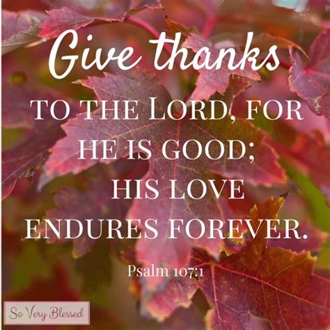 15 Bible Verses on Thankfulness