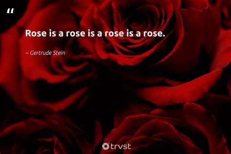 Derrick Rose Quotes Tumblr