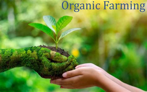 Advantages and Disadvantages of Organic Farming - Javatpoint