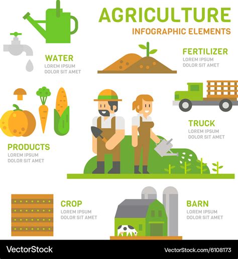 Agriculture farm flat design infographic Vector Image