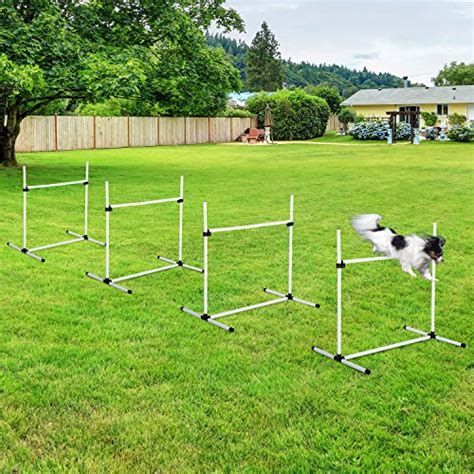 Best Dog Agility Equipment Selection Guide | Hellow dog