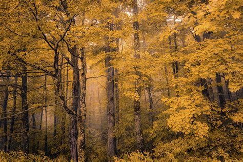 Blue Ridge Parkway fall colors Photograph by Mark Hazelton - Fine Art ...