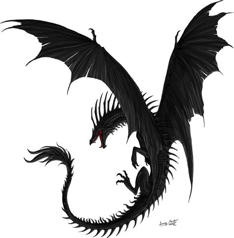 Black Dragon Png Image Background Png Arts | Images and Photos finder