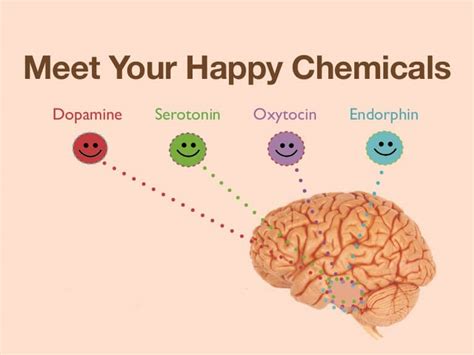 Know Your Happiness Hormones | Learn Natural Ways to Boost Them