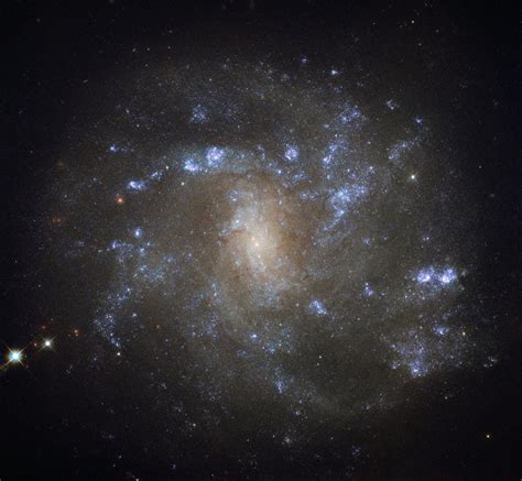 Spiral Galaxy NGC 2500