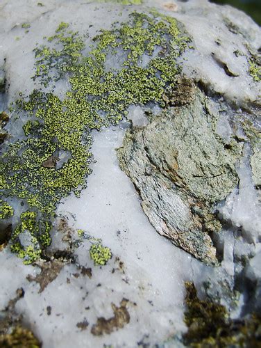 Mica schist embedded in quartz | Source: 080614_151903.RAF | Flickr