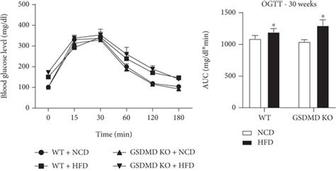 Glucose and insulin tolerance in wild-type (WT) and gasdermin D ...