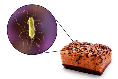 Foodborne Diseases - Bacteria & Foods - Queenmary Academy