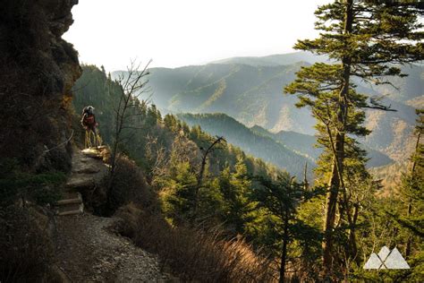 Great Smokey Mountains - Alum Cave Trail | Smoky mountains, Smokey mountains, Great smoky ...