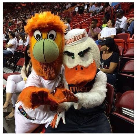 Even the Miami Heat mascot knows it's all about "The U!" Miami ...