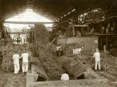 Indonesia Zaman Doeloe: Suasana di sebuah pabrik gula di Jawa Timur di tahun 1930