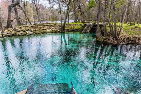 Celebrate spring with a trip to the springs! | Toyota of Orlando