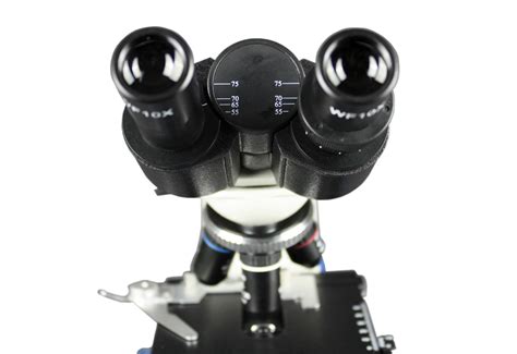 Vision Scientific VMU0005-B Binocular Compound Microscope, 10x WF ...