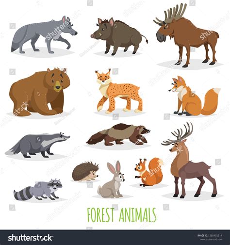 Set Woodland Forest Animals Europe North Stock Vector (Royalty Free) 1565492614 | Shutterstock