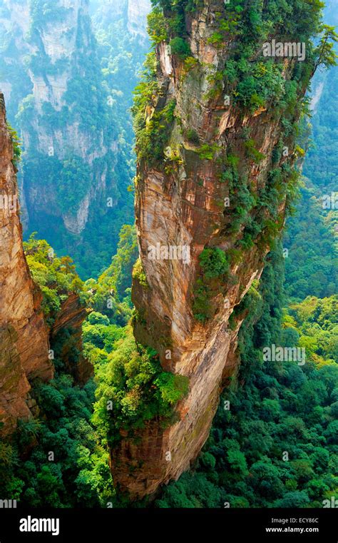 "Avatar" mountains with vertical quartz sandstone rocks, Zhangjiajie ...