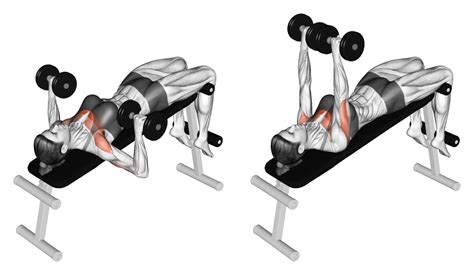 7 Best Dumbbell Bench Press Variations (With Pictures) - Inspire US