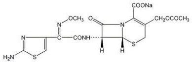 Cefotaxime: Package Insert - Drugs.com