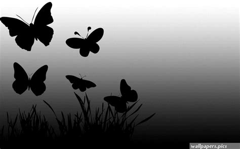 Black Butterfly Wallpapers | Wallpapers.Pics