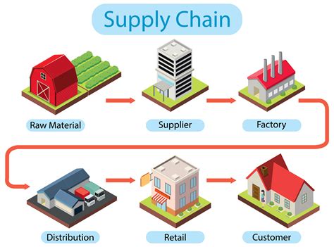 Supply Chain Management Reporting Structure at Thomas Rouse blog