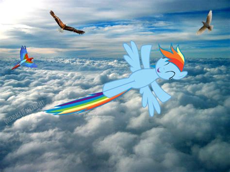 Rainbow Dash Flying in the Sky by queendagi on DeviantArt