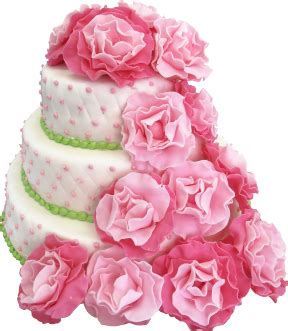Wedding cake PNG