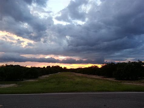 Sunset Over an Orange Grove Photograph by Tiffany Davidson