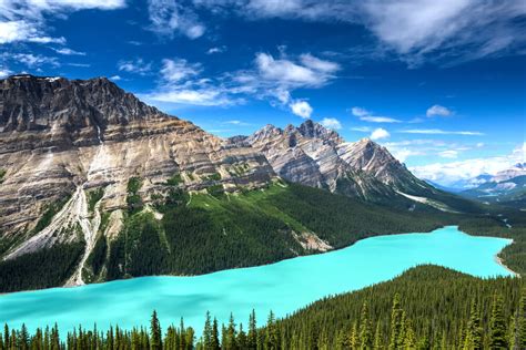 El lago Peyto, unas hermosas vistas de Alberta, en Canadá - Mi Viaje