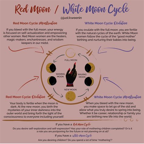 Red Moon and White Moon | Red moon cycle, Moon cycles, Menstrual health