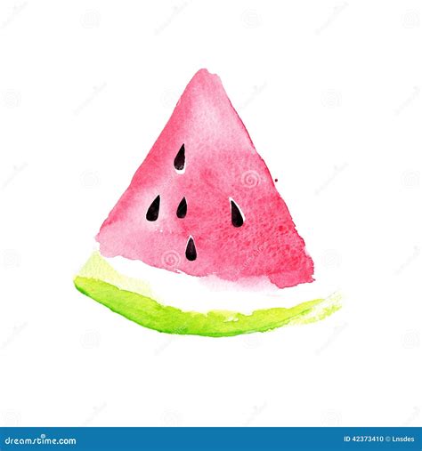 Watermelon. Watercolor Illustration Stock Illustration - Illustration of organic, melon: 42373410