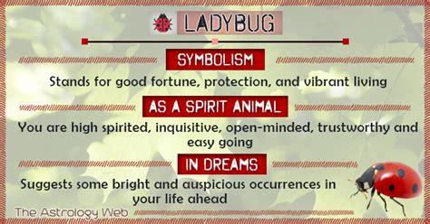 Top 113 + Ladybug spirit animal - Lifewithvernonhoward.com