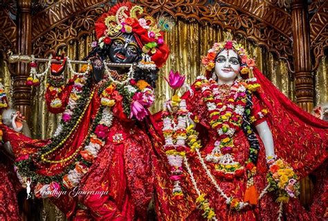 ISKCON Mayapur 13 Dec 2017 | Hare krishna, Radha krishna photo, Radha krishna images