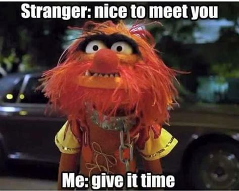 48 best images about Animal (muppet ) quotes on Pinterest | Lol funny ...