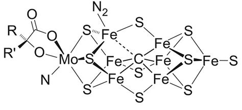 Early Life On Earth Limited By Nitrogenase Enzyme - Astrobiology