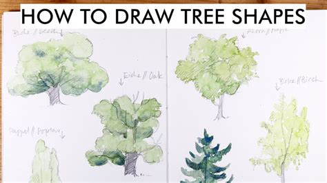 How to draw tree shapes | Julia Bausenhardt