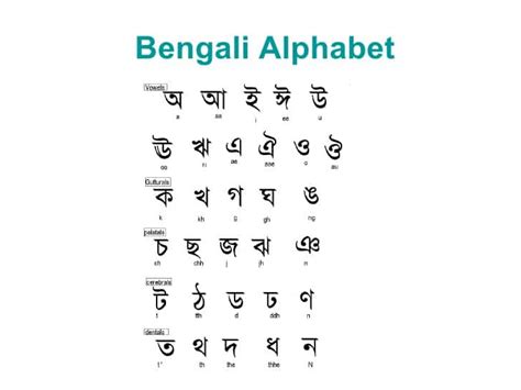 Top 10 Bengali Alphabet Chart | Oppidan Library