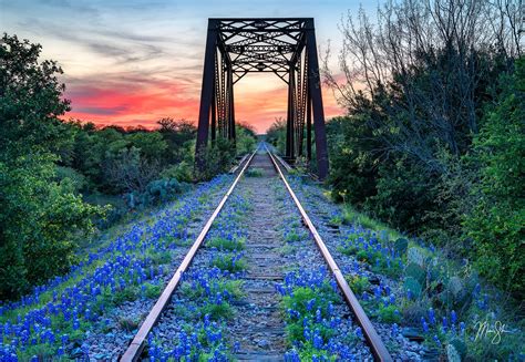 Texas Photography | Mickey Shannon Photography