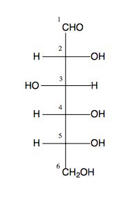 Help with Organic Carbohydrates - Organic Chemistry