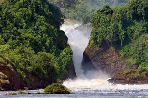 Murchison Falls National Park (Masindi) - All You Need to Know BEFORE ...