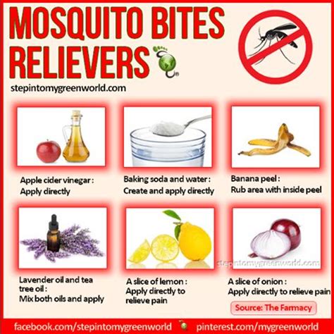 Mosquito Bite Remedies | Remedies for mosquito bites, Mosquito bite ...