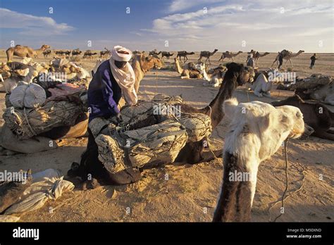 Niger. Agadez. Sahara desert. Sahel. Tenere desert. Tuareg tribe ...